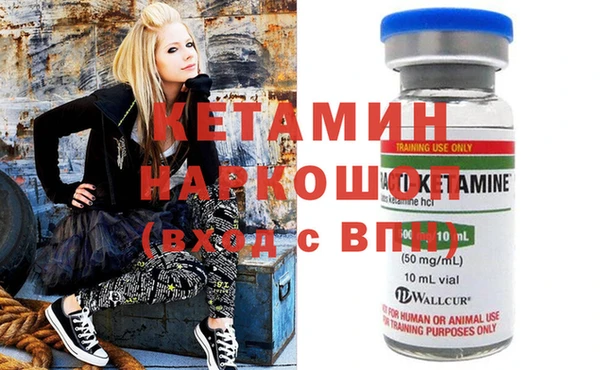 индика Алзамай
