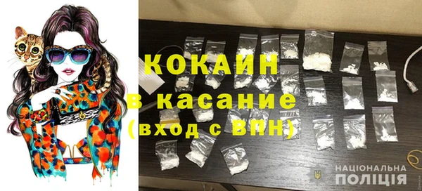 индика Алзамай