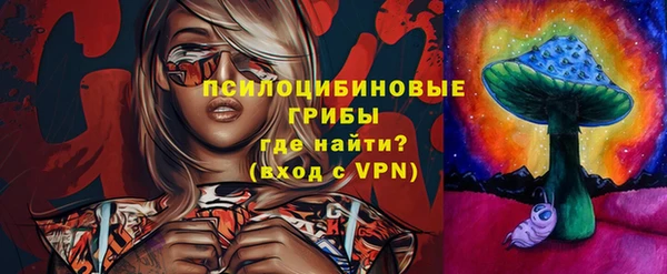 индика Алзамай