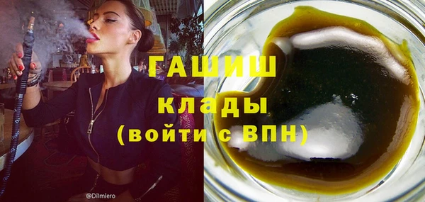 индика Алзамай