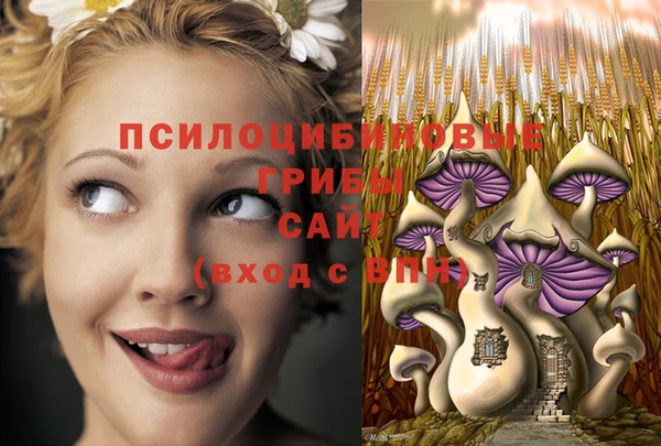 MDMA Premium VHQ Алексеевка