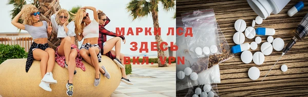 индика Алзамай