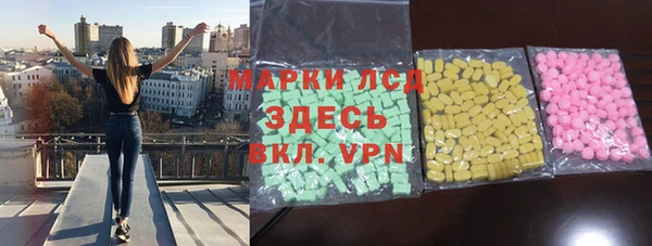 индика Алзамай