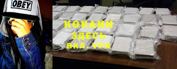 индика Алзамай