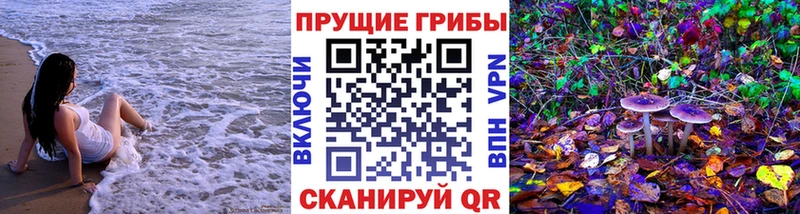 Галлюциногенные грибы Psilocybe Лебедянь
